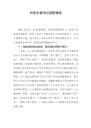 村党支部书记述职报告.docx