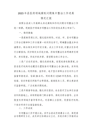 2023年县医药领域腐败问题集中整治工作进展情况报告总结.docx