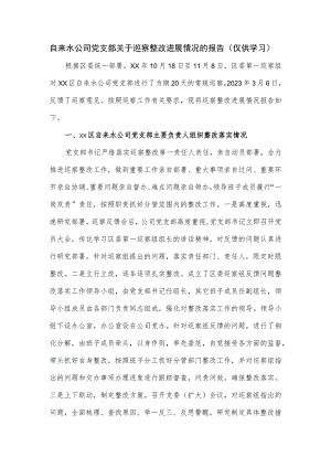 自来水公司党支部关于巡察整改进展情况的报告.docx