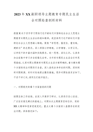 2023年XX副职领导主题教育专题民主生活会对照检查剖析材料.docx