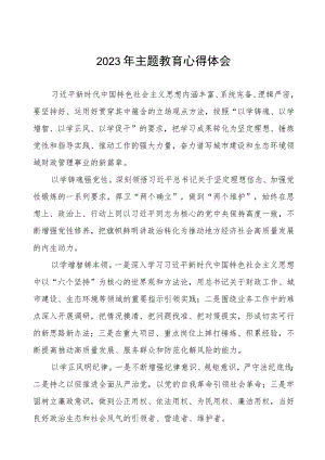 2023年财政干部主题教育心得体会发言稿四篇.docx