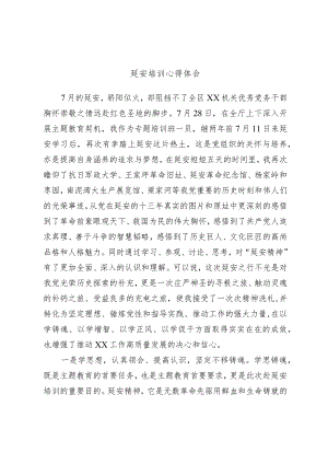 延安培训心得体会.docx