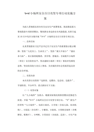 “9+N”小场所安全百日攻坚专项行动实施方案.docx