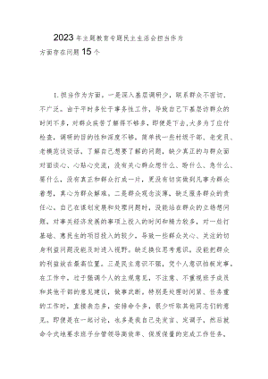 2023年主题教育专题民主生活会“担当作为”方面查摆存在问题15条.docx