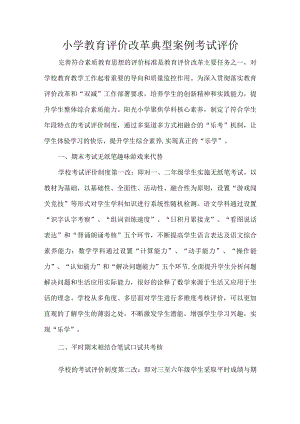 小学教育评价改革典型案例考试评价.docx