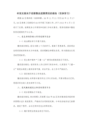村党支部关于巡察整改进展情况的报告.docx