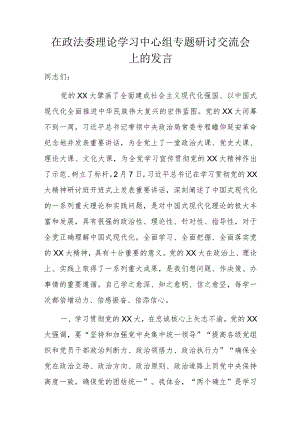 在政法委理论学习中心组专题研讨交流会上的发言.docx