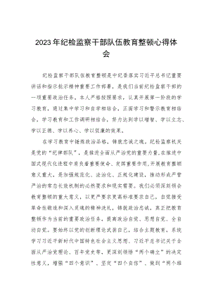 纪检监察干部队伍教育整顿心得体会最新版六篇.docx