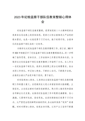 纪检干部关于2023年全国纪检监察干部队伍教育整顿的心得体会六篇.docx