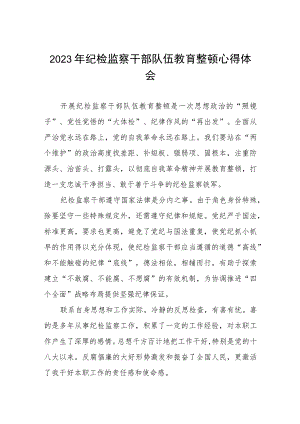 “2023年纪检监察干部队伍教育整顿”心得体会范文两篇.docx