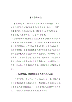 纪检监察干部关于纪检监察干部队伍教育整顿学习心得体会及研讨发言范文2篇.docx