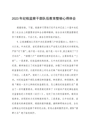 (最新版)2023年全国纪检监察干部队伍教育整顿个人心得体会两篇.docx