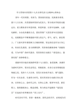 中学教师学习贯彻共青团第十九次全国代表大会精神个人心得体会 （5份）.docx