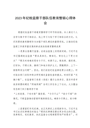 2023年纪检监察干部队伍教育整顿心得体会研讨发言材料六篇.docx