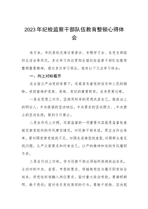 关于2023年纪检监察干部队伍教育整顿个人心得体会7篇.docx