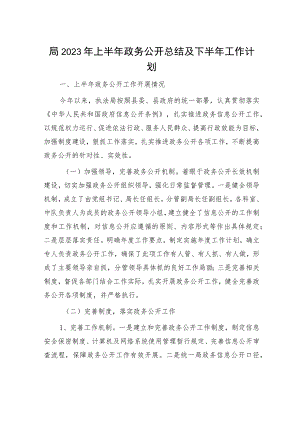2023年上半年政务公开总结及下半年工作计划.docx
