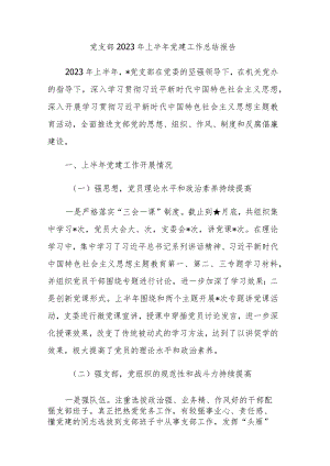 党支部2023年上半年党建工作总结报告及下半年计划范文3篇.docx