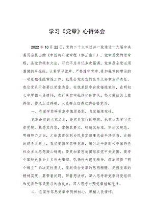 学习新《党章》心得体会.docx