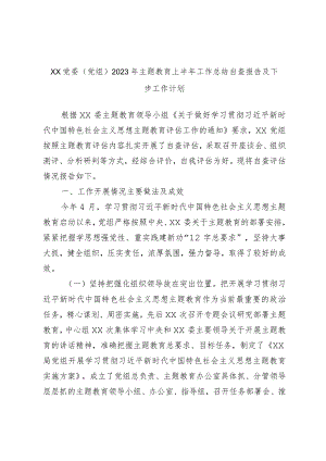 XX党委（党组）2023年主题教育上半年工作总结自查报告及下步工作计划.docx