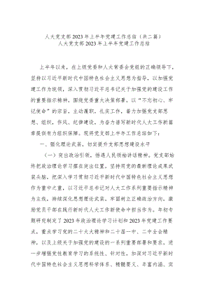 人大党支部2023年上半年党建工作总结(共二篇).docx
