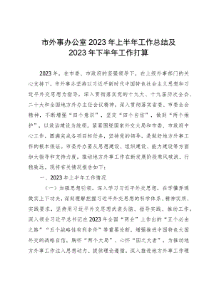 市外事办公室2023年上半年工作总结及2023年下半年工作打算.docx