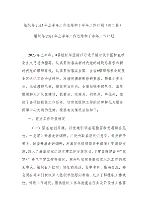 组织部2023年上半年工作总结和下半年工作计划(共二篇).docx