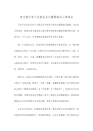 学习践行首个全国生态日重要指示心得体会.docx