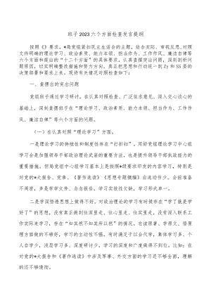 班子2023六个方面检查发言提纲.docx