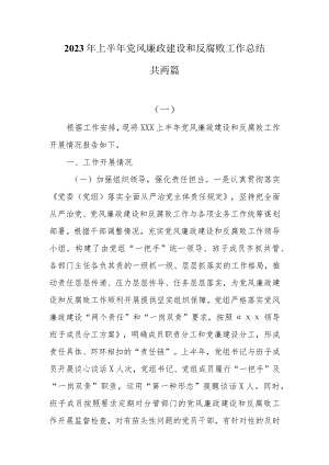 2023年上半年党风廉政建设和反腐败工作情况总结两篇.docx