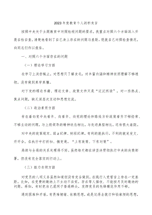 2023年度教育个人剖析发言.docx