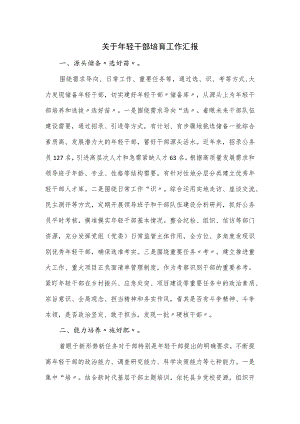 关于年轻干部培育工作汇报.docx