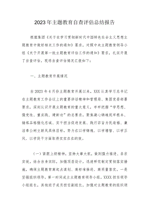 2023年主题教育自查评估总结报告.docx