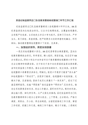 县纪检监察干部队伍教育整顿检视整治环节工作汇报.docx