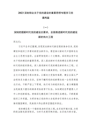 2023主题教育深刻领会关于党的建设的重要思想专题学习党课两篇.docx