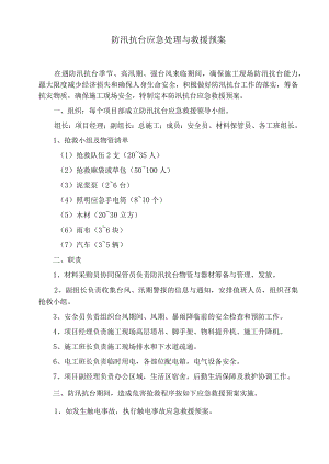 防汛抗台应急处理与救援预案范文.docx