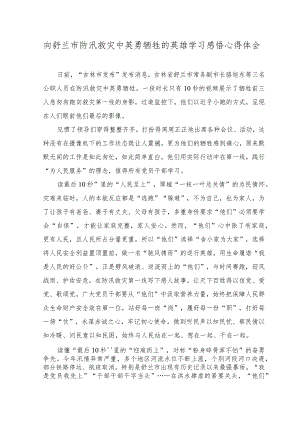 （3篇）2023年向舒兰市防汛救灾中英勇牺牲的英雄学习感悟心得体会.docx