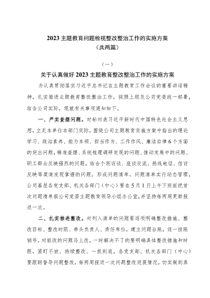2023主题教育问题检视整改整治工作的实施方案两篇.docx