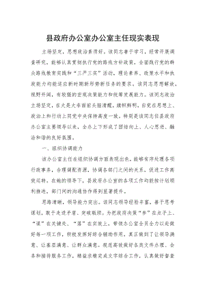 县政府办公室办公室主任现实表现.docx