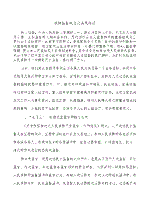 政协监督概念及实践路径.docx