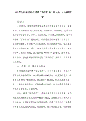 2023在全县基层组织建设“百日行动”动员会上的讲话范文.docx