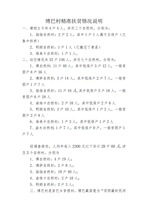精准扶贫文字说明.docx
