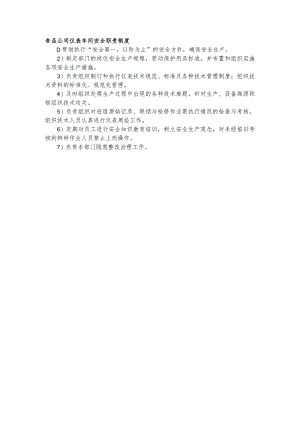 食品公司仪表车间安全职责制度.docx