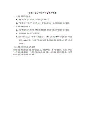 智能科技公司财务资金支付管理.docx