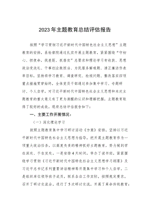 2023年主题教育总结评估报告.docx