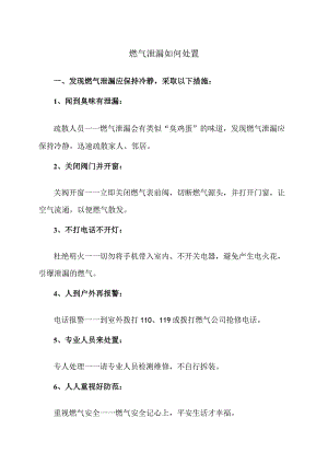 燃气泄漏如何处置（2023年）.docx