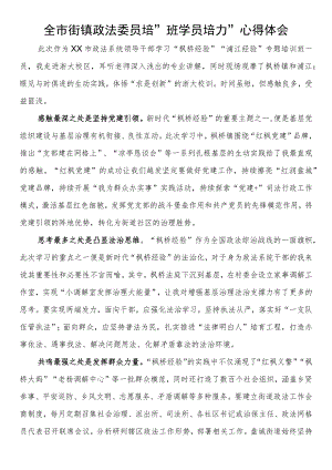 全市街镇政法委员培训班学员培训心得体会.docx