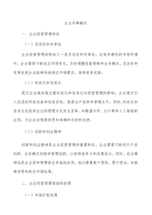 企业品牌概述.docx