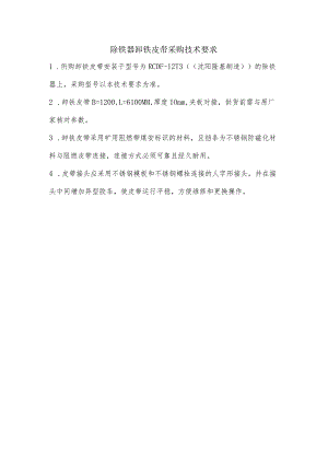 除铁器卸铁皮带采购技术要求.docx