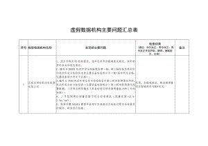 虚假数据机构主要问题汇总表.docx