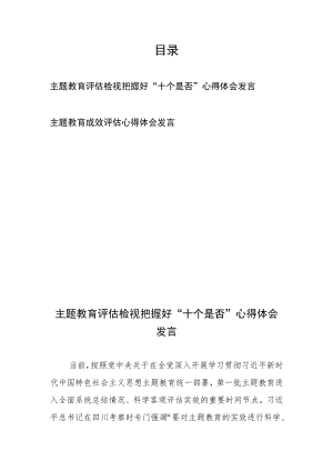 主题教育评估检视把握好“十个是否”心得体会发言、主题教育成效评估心得体会发言.docx